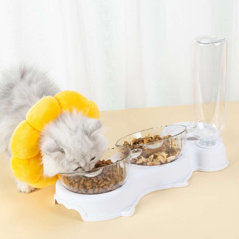 Blue Coco double pet feeder with free self dispenser bottle