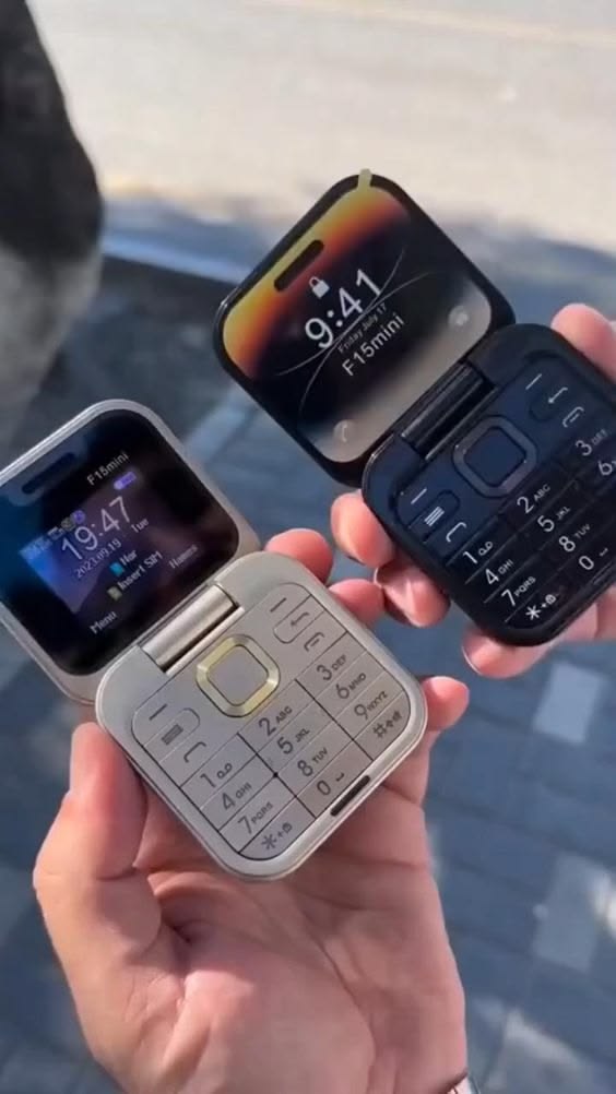 Mini flip i16 pro (uses Sim can text/call)