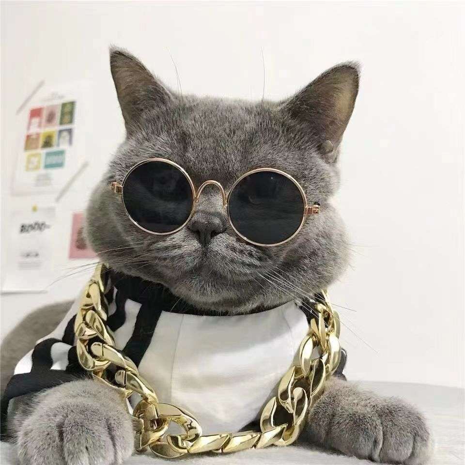 dog cat pet small glasses creative trend toy sunglasses studio shooting props