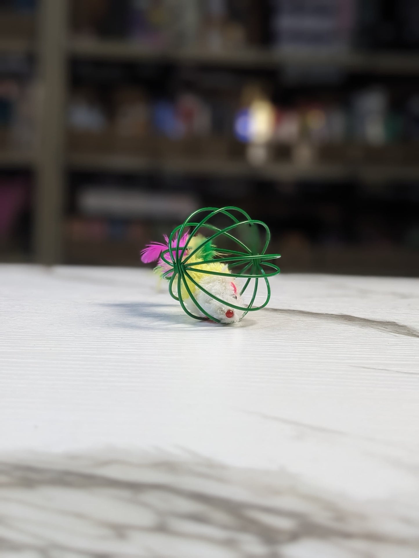 relieve boredom caged mouse
