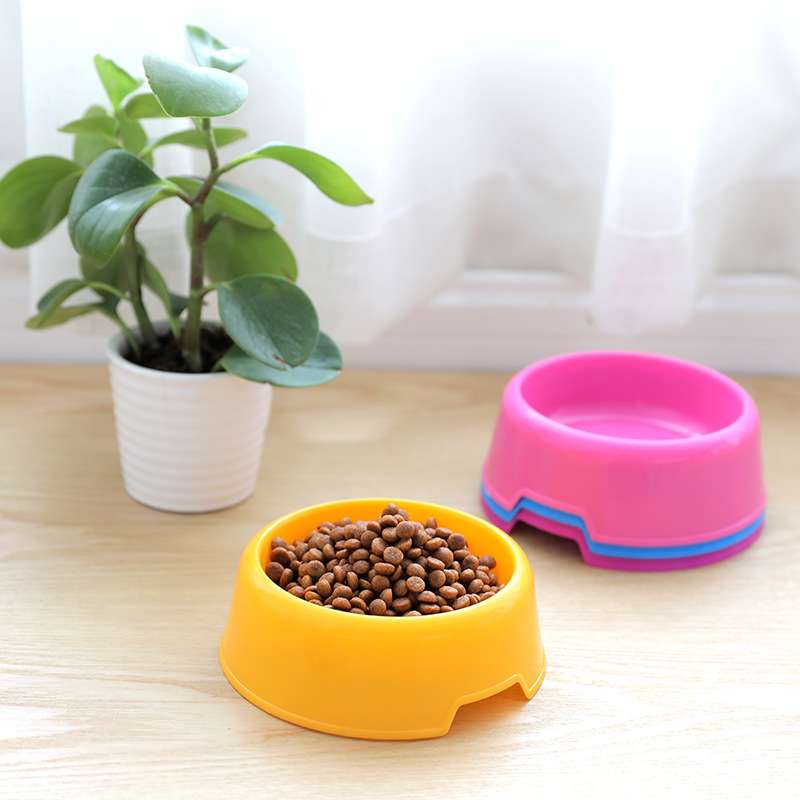 Pink - Neko single pet plate