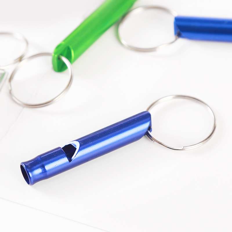 alloy life-saving whistle Keychain