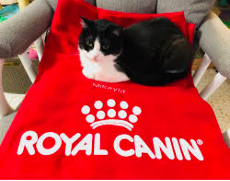 Royal Canin 109 | Cotton Big Towel | Bale Towel - 137 x 27cm