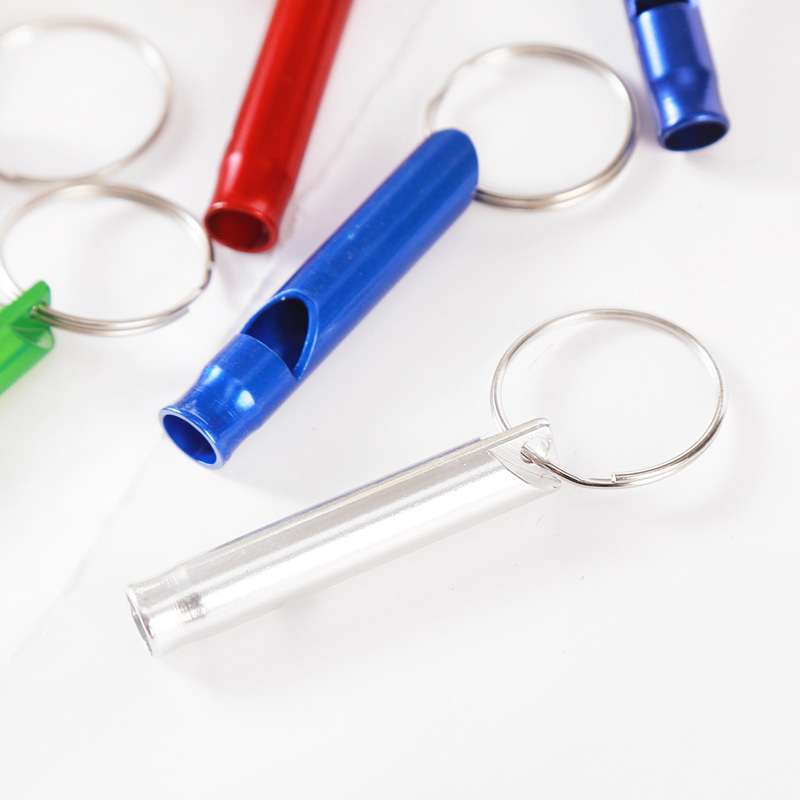 alloy life-saving whistle Keychain