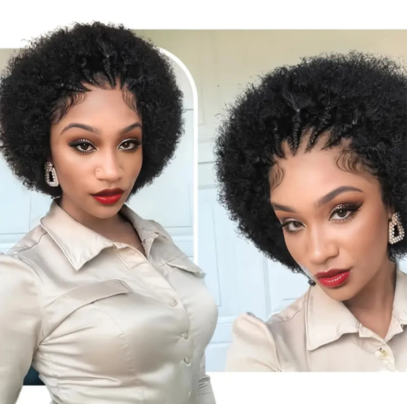 100% Human Hair Braided Afro Curly Wig with Braids