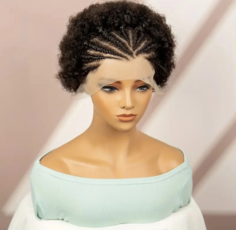 100% Human Hair Braided Afro Curly Wig with Braids
