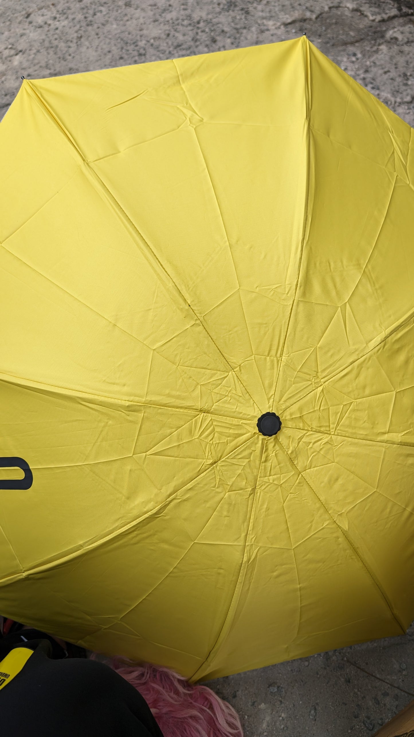 Wine bottle Umbrella