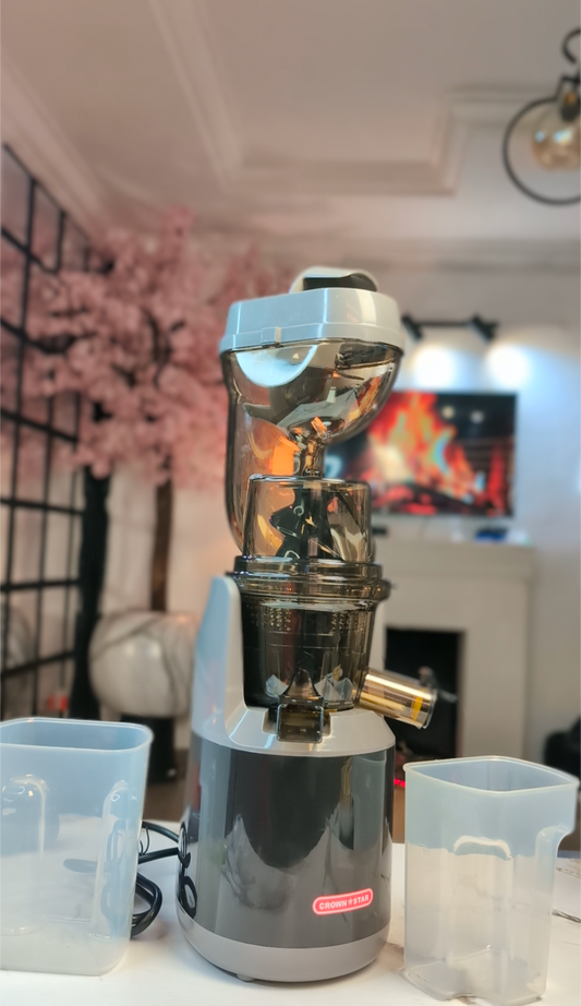 2 in 1  Slow Juicer & Ice Cream Maker