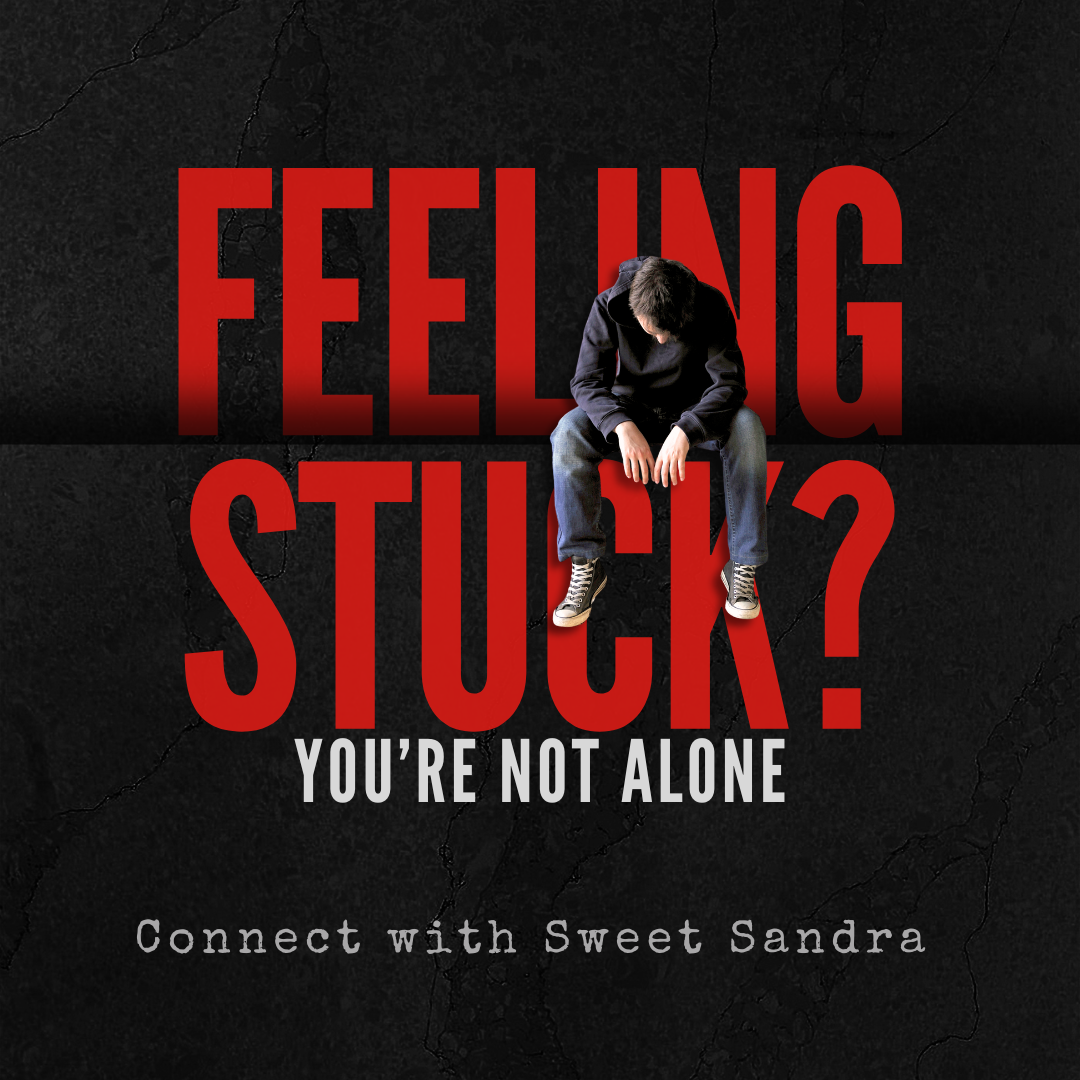 Business  Mentorship Program with Sweet Sandra and Team : 25-Day Program