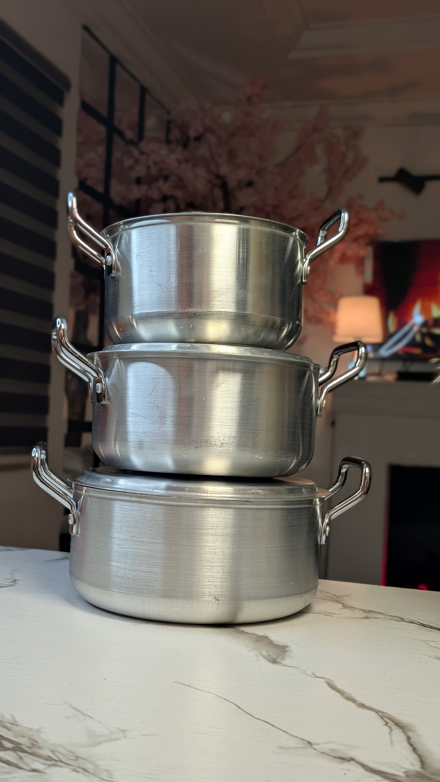 5pcs Bachelors pot (24cm/22cm/20cm) 5 years guarantee