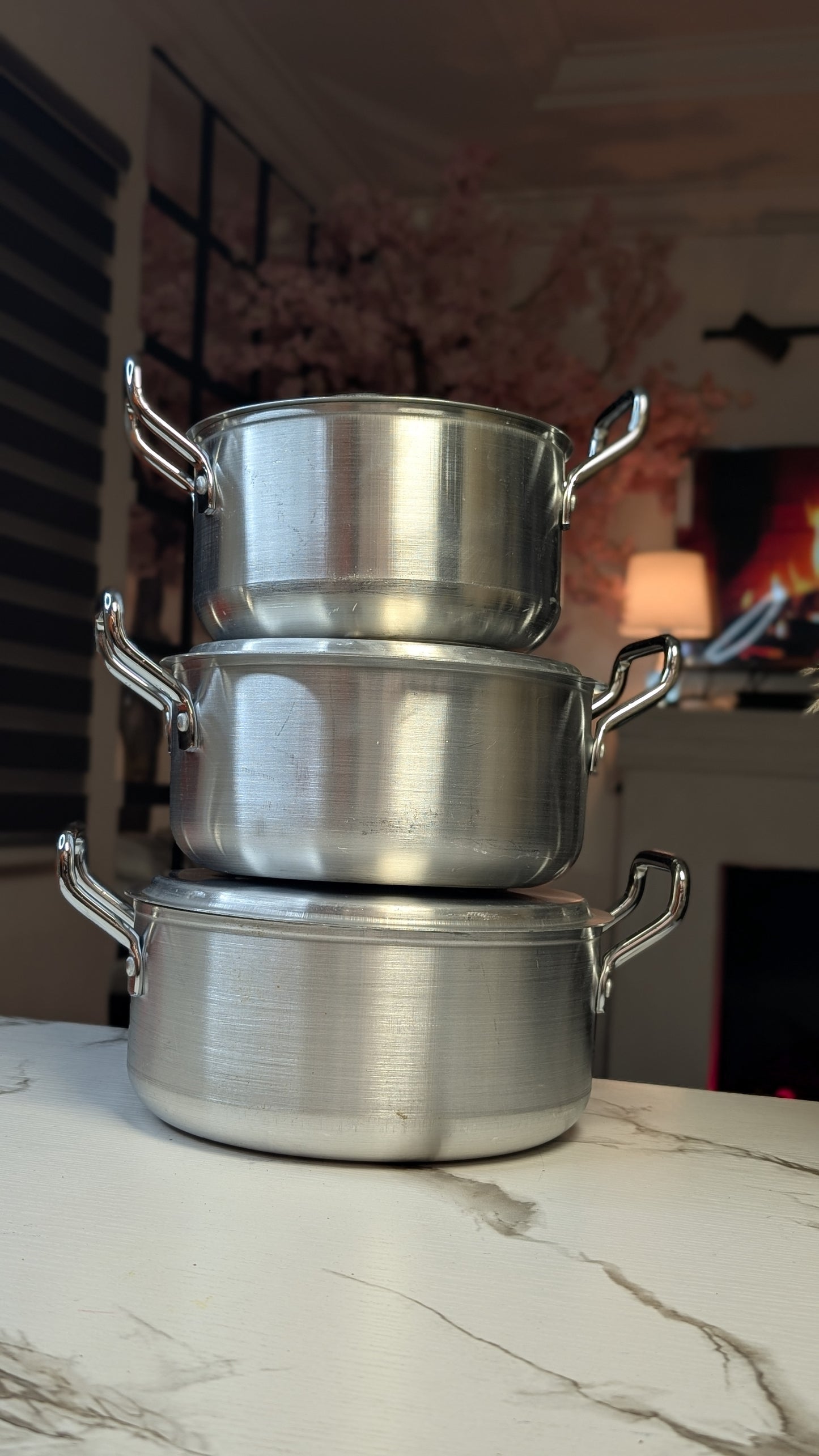 5pcs Bachelors pot (24cm/22cm/20cm) 5 years guarantee