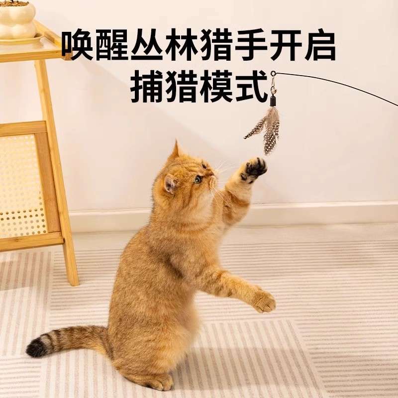 cat teasing stick