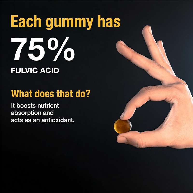 Pure Himalayan  Shilajit Gold gummies 60 capsules - Preorder